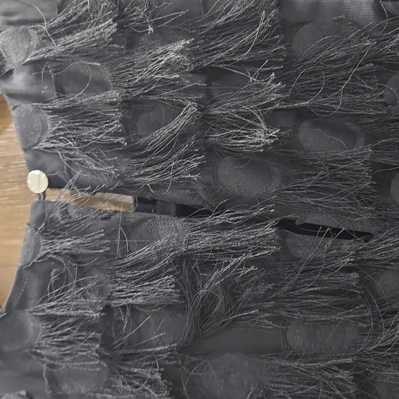 by Anthropologie-"Roxie" Black Textured Fringe Shift Dress-Size 0 - Picture 10 of 17